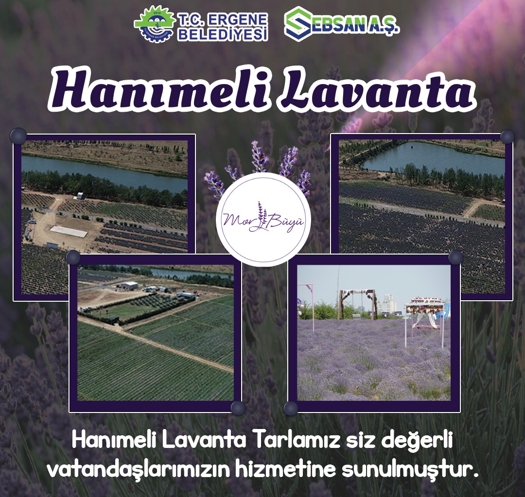 Reklam Bloğu