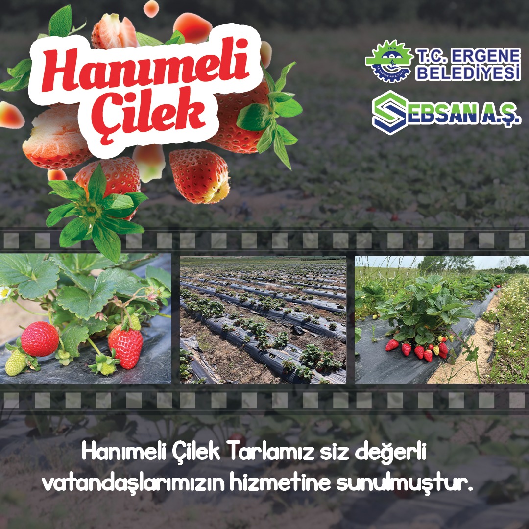 Reklam Bloğu