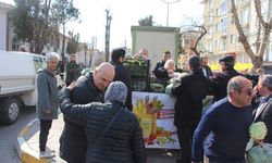 Ücretsiz Ispanak, Lahana dağıtıldı