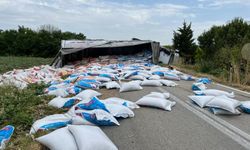 Tekirdağ'da devrilen tırın sürücüsü yaralandı