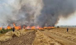 12 dönüm buğday ekili alan yangında zarar gördü