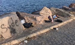 Büyükşehir Sistemi: Sahipsizlik ve Sorunlar Getirdi